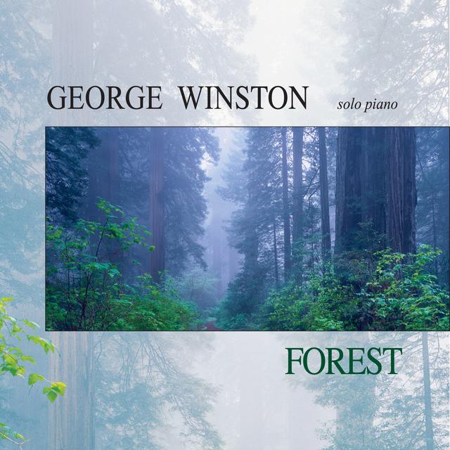 Album cover art for Forest