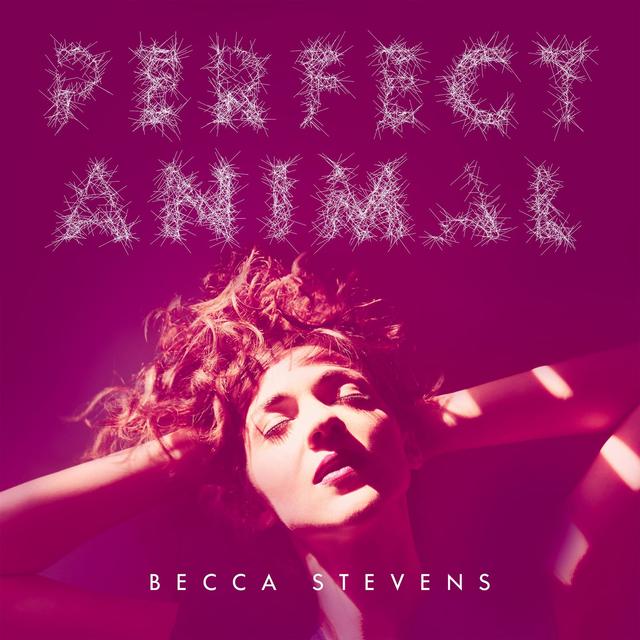 Album cover art for Perfect Animal