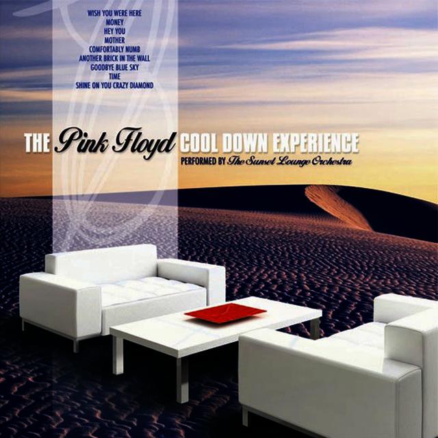 Album cover art for The Pink Floyd Cool Down Experience