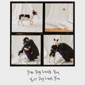 Album cover art for Your Dog Loves You