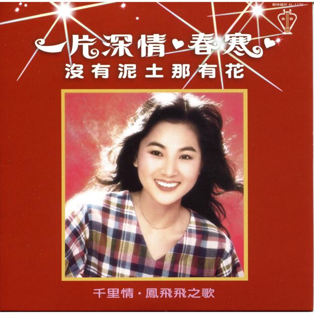 Album cover art for 一片深情