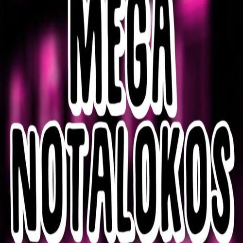 Album cover art for Meganotalokos