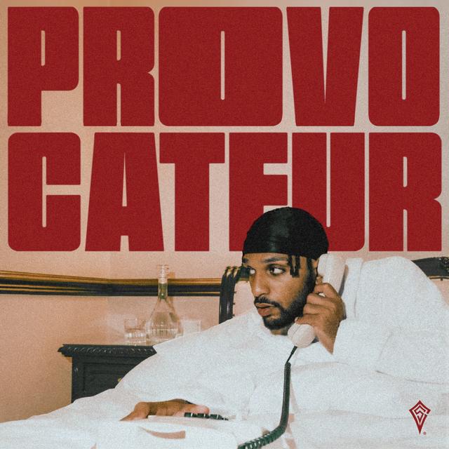 Album cover art for Provocateur