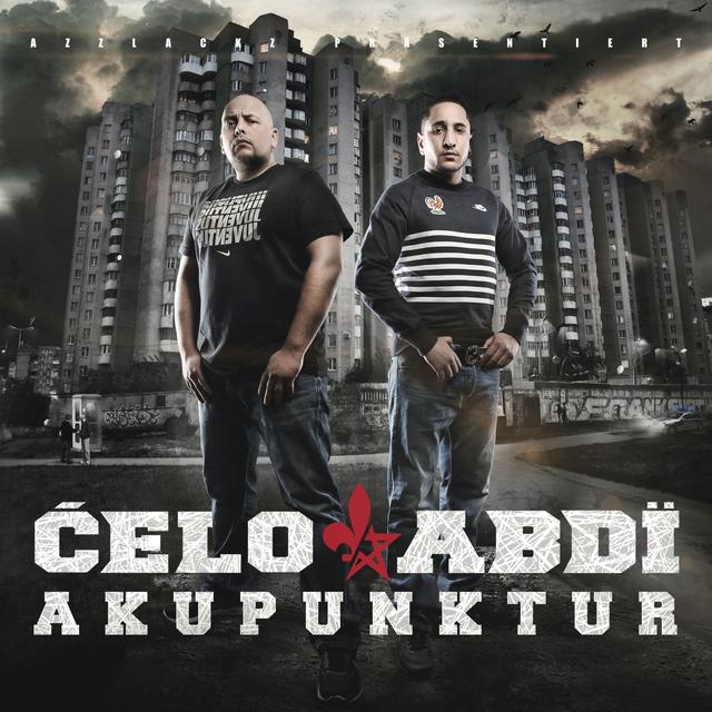 Album cover art for Akupunktur