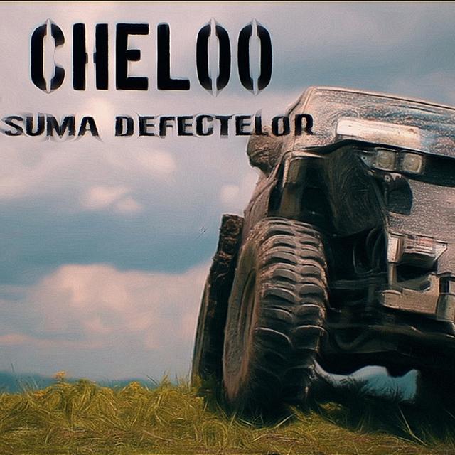 Album cover art for Suma Defectelor