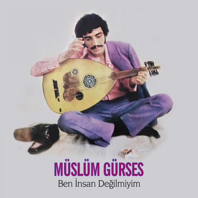 Album cover art for Ben Insan Değilmiyim