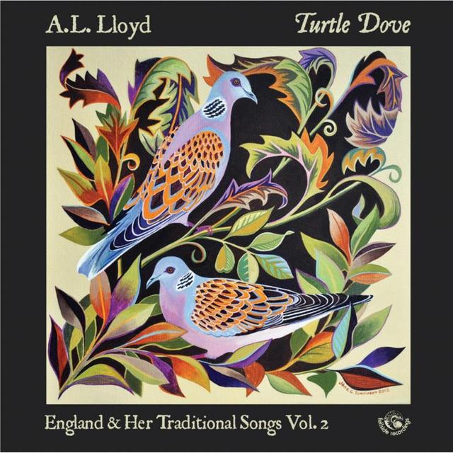 Album cover art for Turtle Dove - England & Her Tradtitional Songs Vol. 2