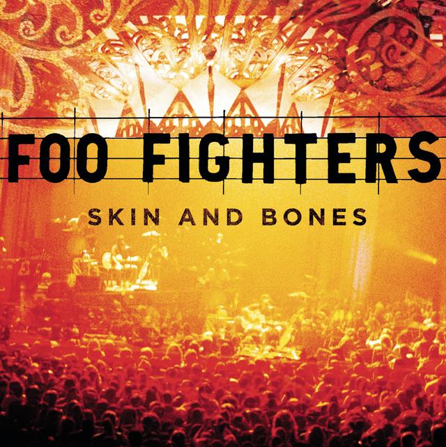 Album cover art for Skin and Bones