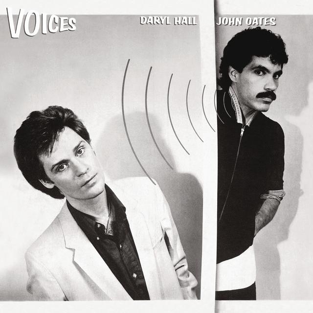 Album cover art for Voices