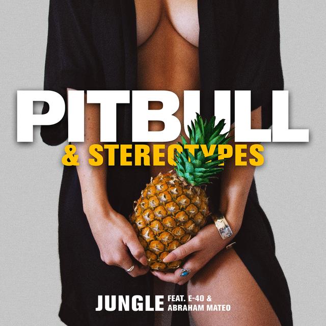 Album cover art for Jungle (feat. E-40 & Abraham Mateo)