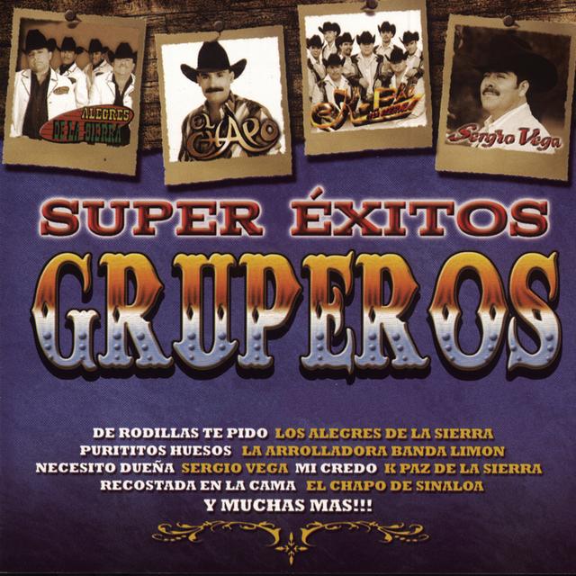 Album cover art for Super Exitos Gruperos