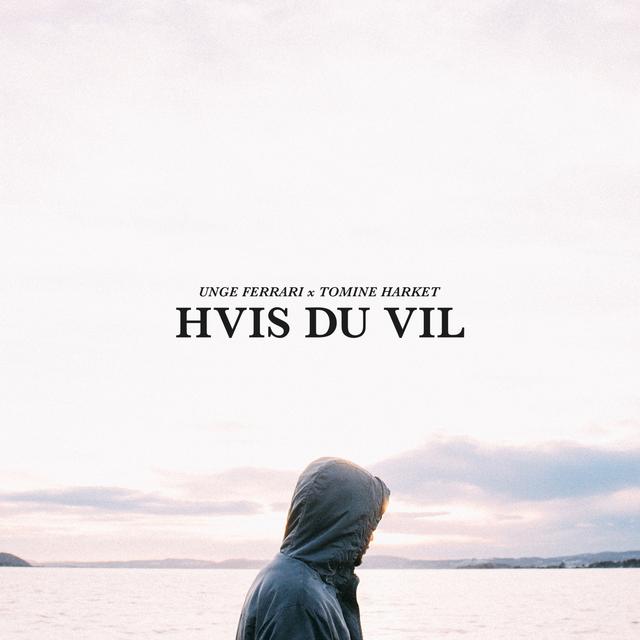 Album cover art for Hvis du Vil