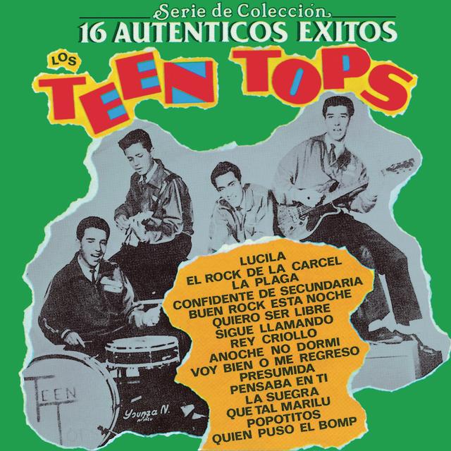 Album cover art for Serie de Colección 16 Autenticos Exitos: los Teen Tops