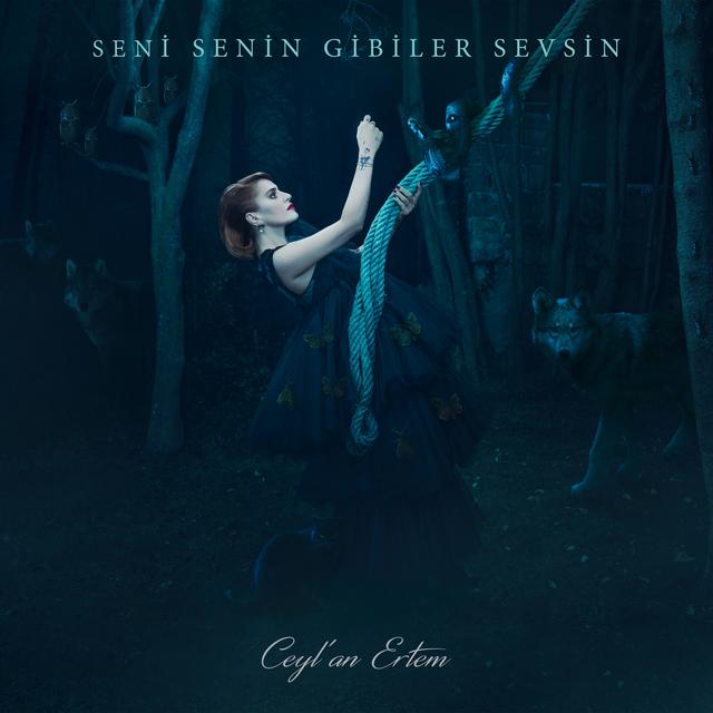 Album cover art for Seni Senin Gibiler Sevsin