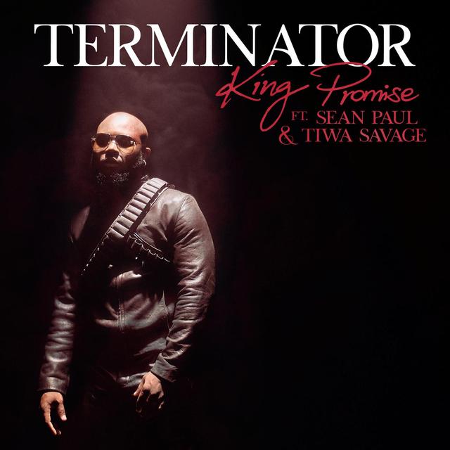 Album cover art for Terminator