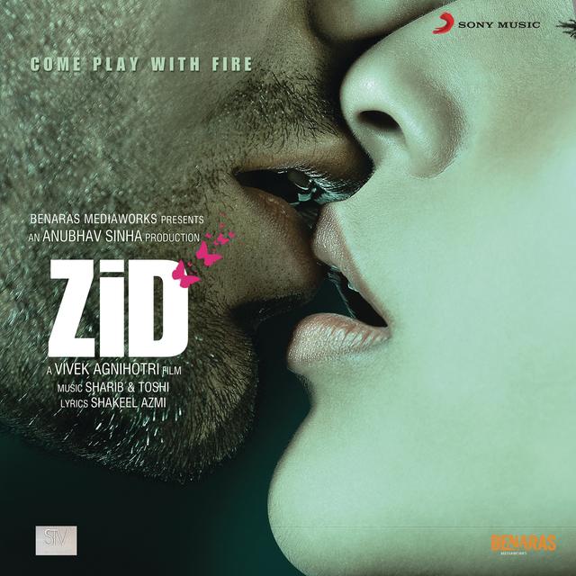 Album cover art for Zid