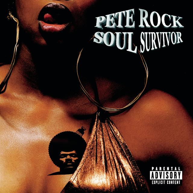 Album cover art for Soul Survivor II