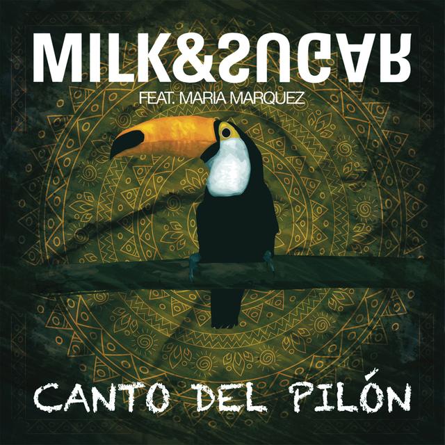 Album cover art for Canto Del Pilón