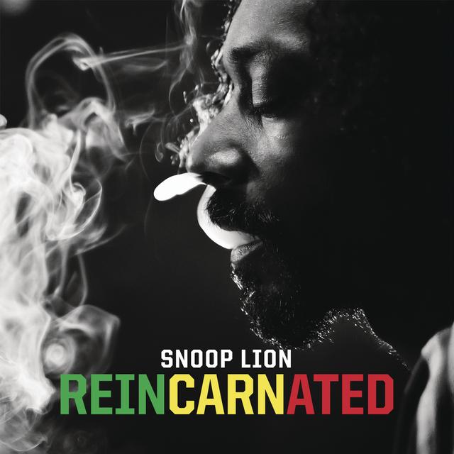 Album cover art for Reincarnated