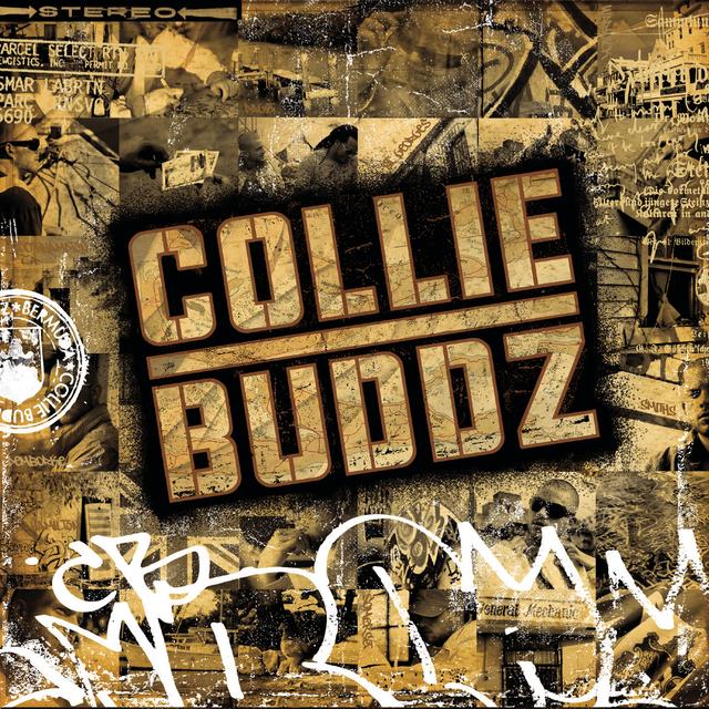 Album cover art for Collie Buddz