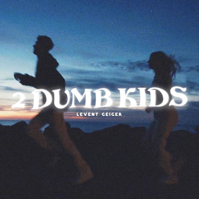 Album cover art for 2 Dumb Kids