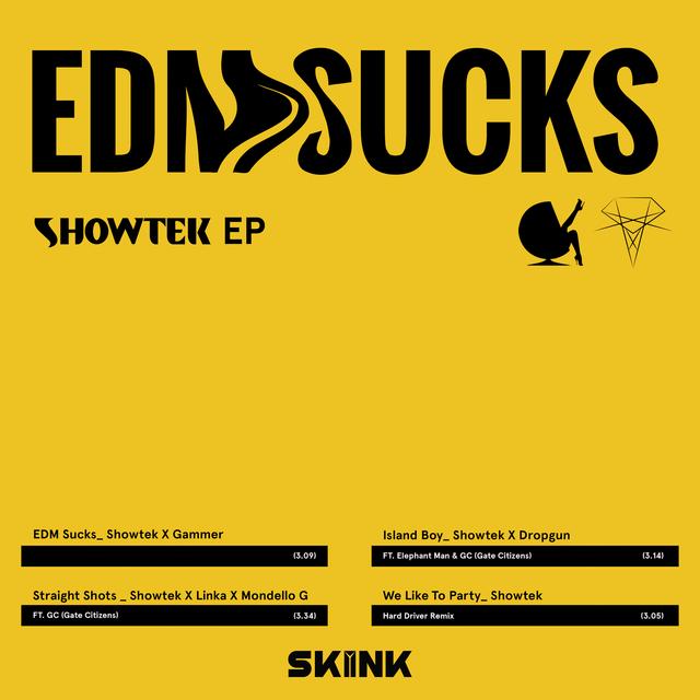 Album cover art for EDM Sucks