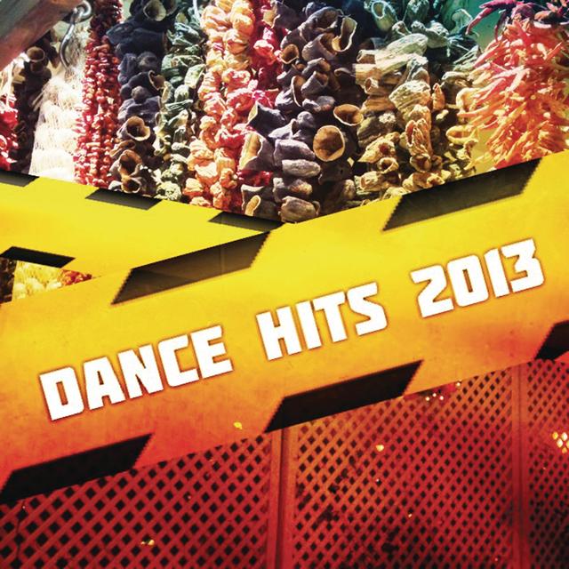 Album cover art for Hits & Dance 2010