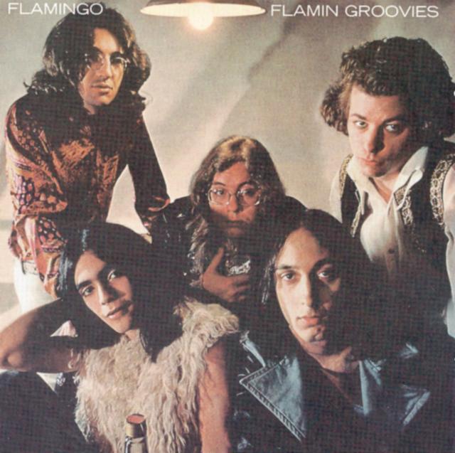 Album cover art for Flamingo