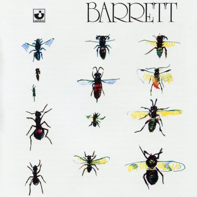 Album cover art for Barrett